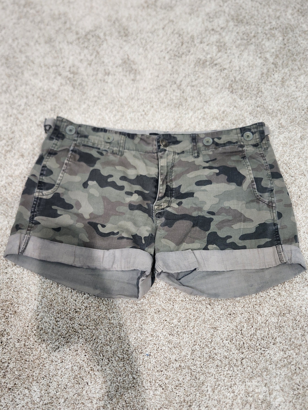 Hudson Camo Cargo Shorts